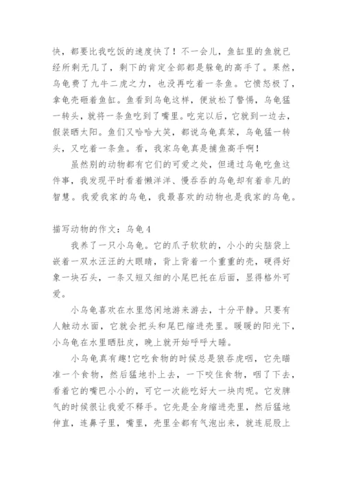 描写动物的作文：乌龟.docx