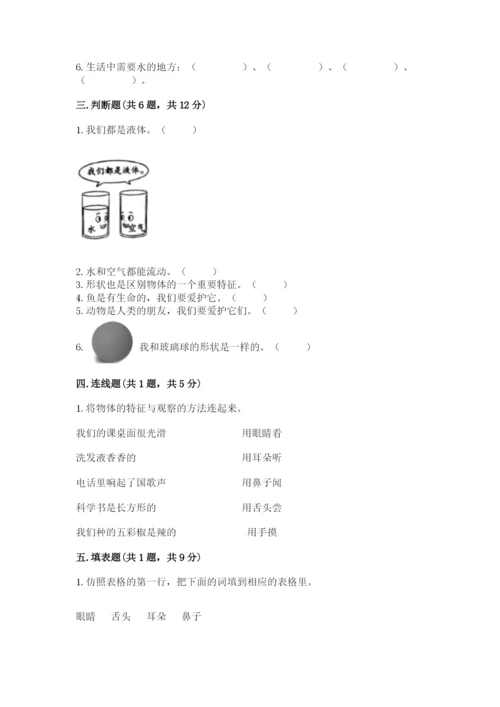 教科版一年级下册科学期末测试卷精品【基础题】.docx