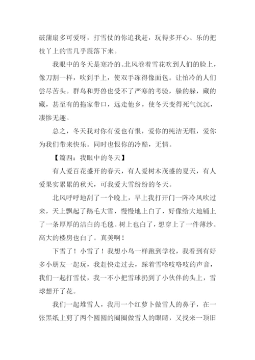 作文我眼中的冬天.docx