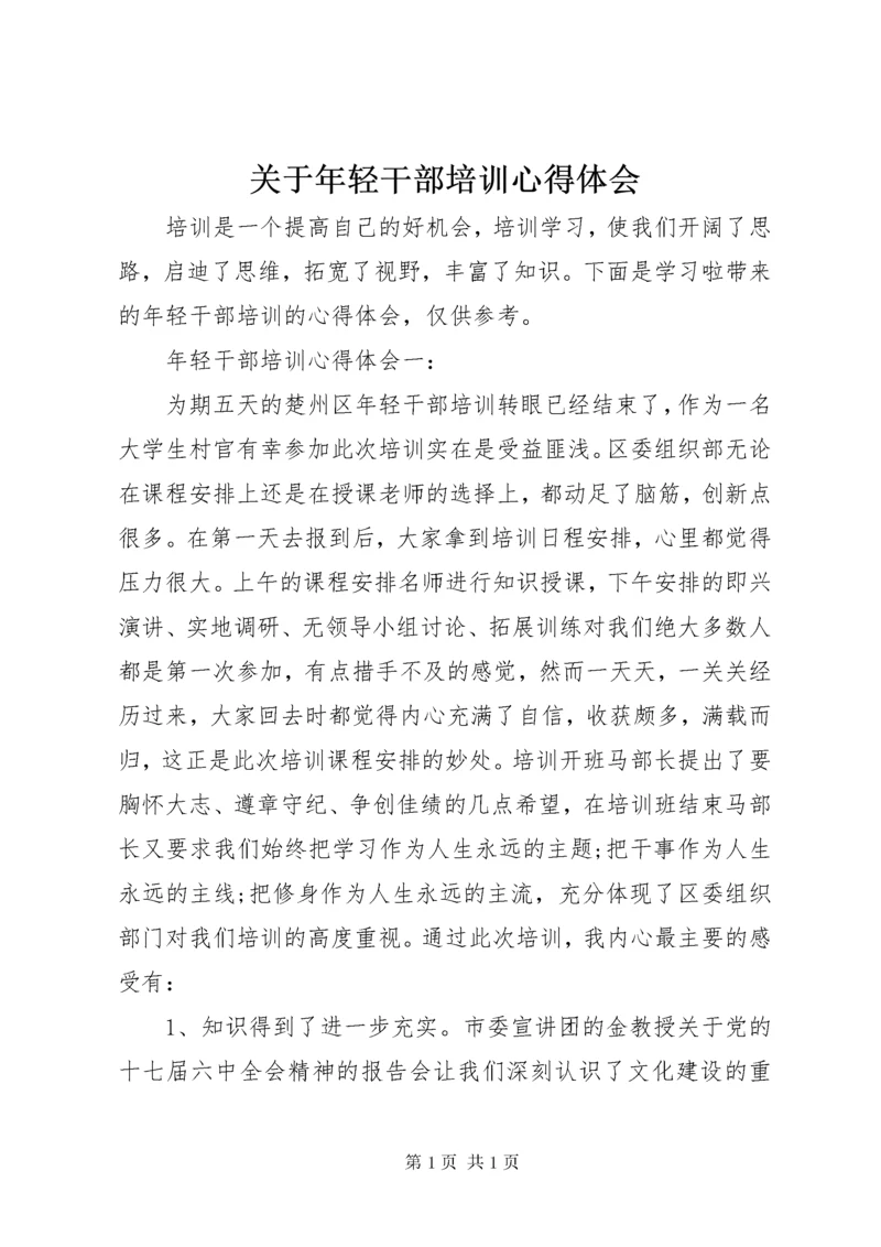 关于年轻干部培训心得体会.docx