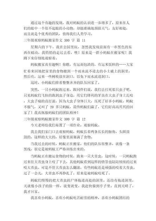 三年级观察蚂蚁搬家作文300字