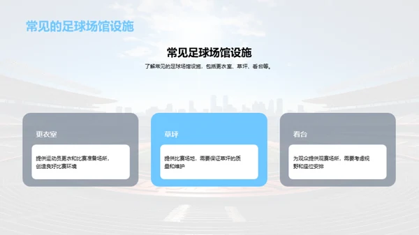 打造梦幻球场：选址与建设