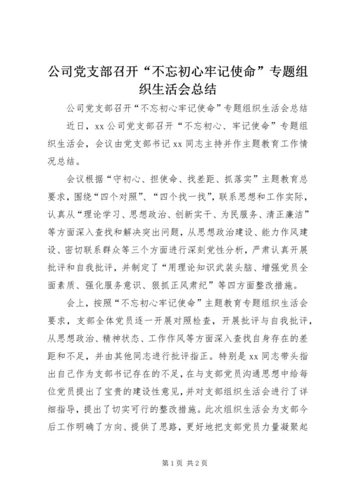 公司党支部召开“不忘初心牢记使命”专题组织生活会总结.docx