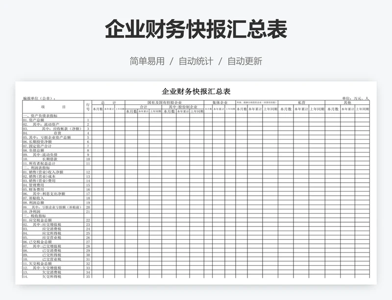 企业财务快报汇总表