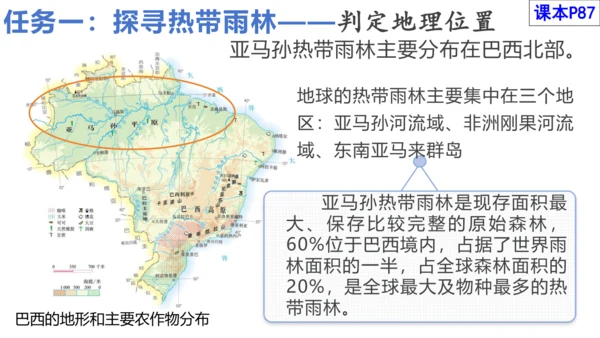 9.2 巴西（课件21张）-七年级地理下册（人教版）