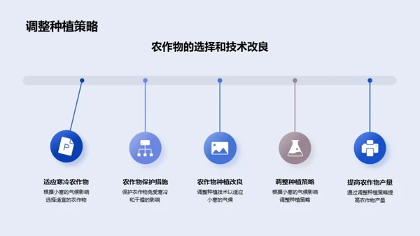 小寒节气下的农作物管理