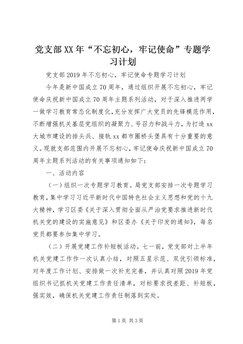 党支部某年“不忘初心，牢记使命”专题学习计划.docx