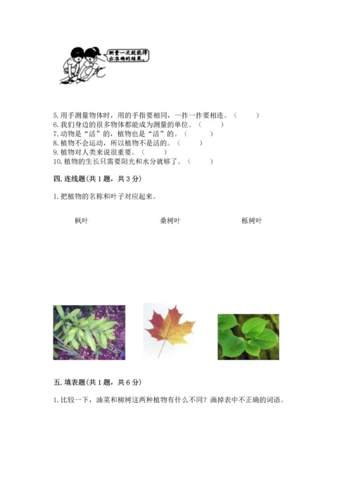 教科版一年级上册科学期末测试卷（达标题）.docx