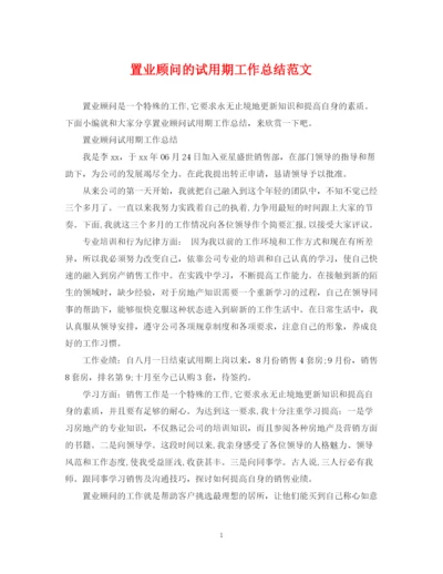 精编之置业顾问的试用期工作总结范文.docx