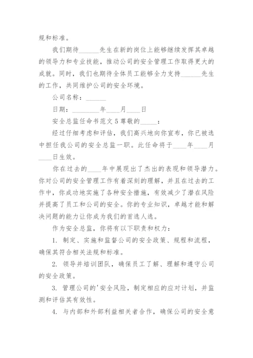 安全总监任命书范文.docx