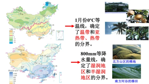 4.3.1 地域差异显著 课件