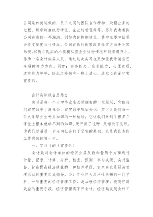 会计实训报告总结范文3000字.docx