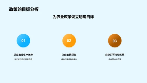 农业政策全面解析