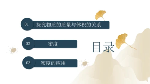 6.2密度（课件）(共25张PPT) -2023-2024学年八年级物理上册同步精品课堂（人教版）