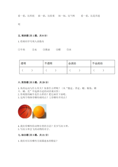 教科版小学科学一年级下册期末测试卷附答案【培优b卷】.docx