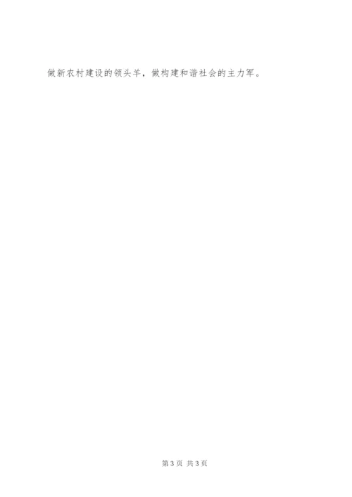 村党支部副书记某年培训体会范文.docx