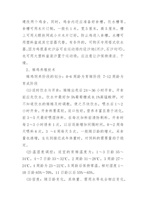 山鸡怎么养殖.docx