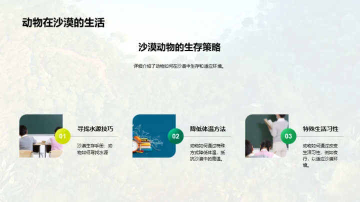 动物世界的奥秘