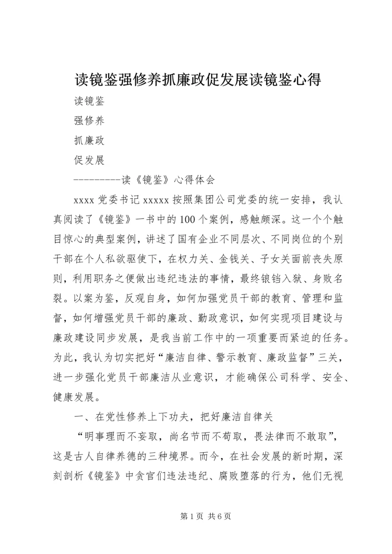 读镜鉴强修养抓廉政促发展读镜鉴心得.docx