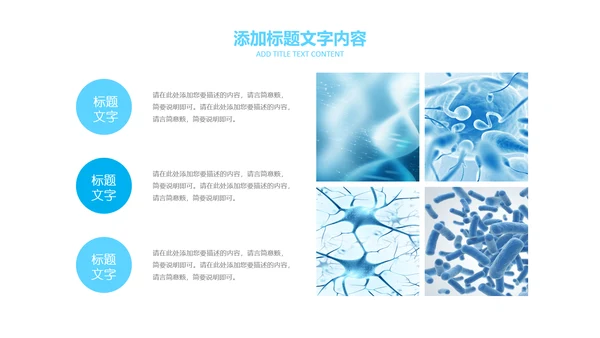 医疗细菌病毒微生物细胞组织动态ppt模板
