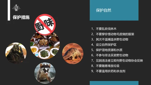 保护野生动物老虎PPT模板