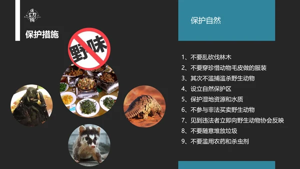 保护野生动物老虎PPT模板