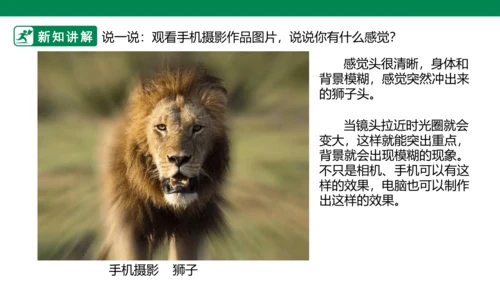 第十九课《电脑美术—你追我赶》课件
