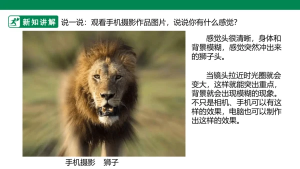 第十九课《电脑美术—你追我赶》课件