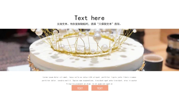 生日快乐生日会相册通用PPT模板