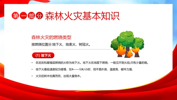 3月21日世界森林日森林火灾森林防火主题班会PPT