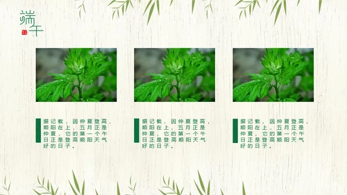 端午节中国文化粽子通用PPT模板