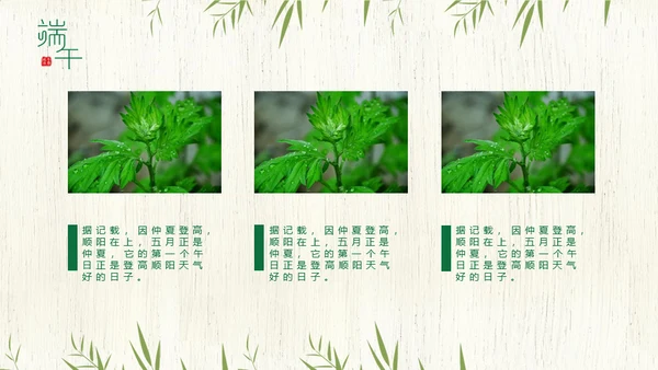 端午节中国文化粽子通用PPT模板