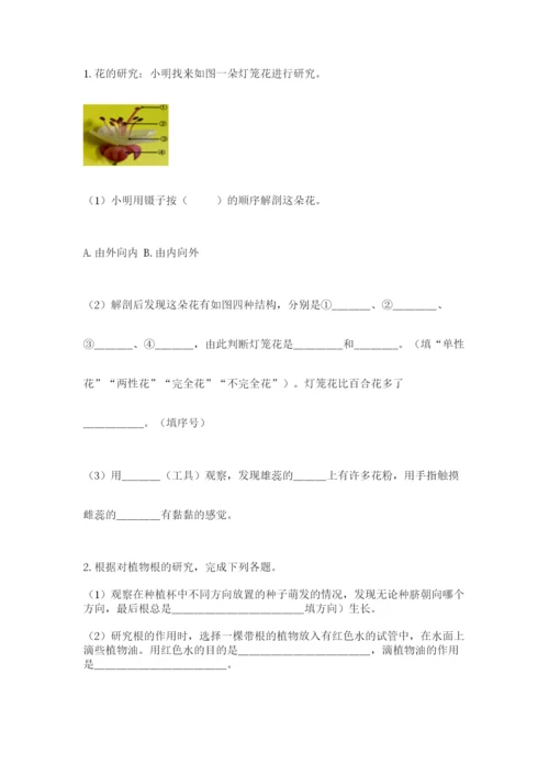教科版科学四年级下册第一单元《植物的生长变化》测试卷word版.docx