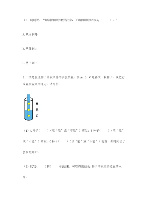 科学四年级下册第一单元《植物的生长变化》测试卷附完整答案（考点梳理）.docx