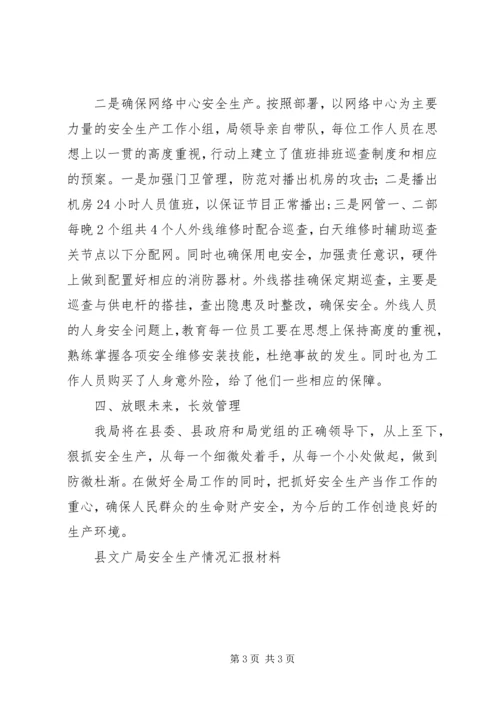 县文广局安全生产情况汇报材料 (3).docx