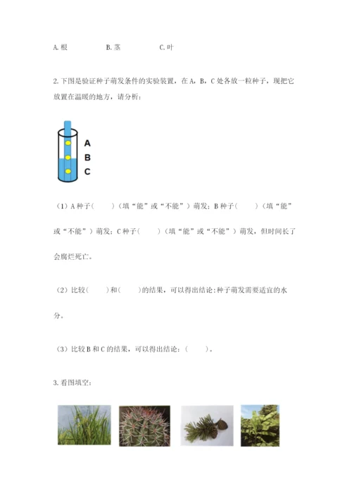 教科版科学四年级下册第一单元《植物的生长变化》测试卷精品【a卷】.docx