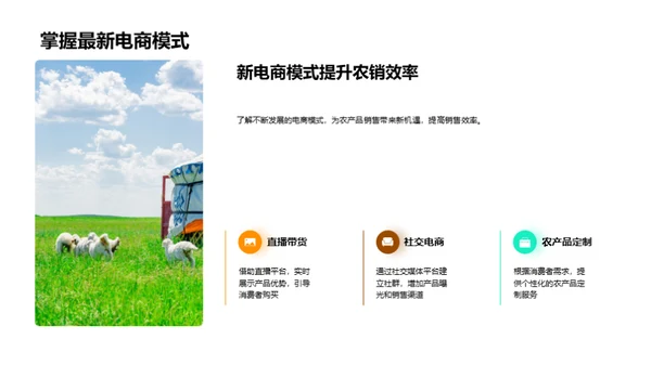 农产品电商新趋势