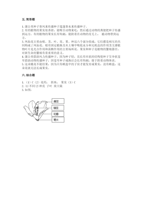 科学四年级下册第一单元《植物的生长变化》测试卷及完整答案【易错题】.docx