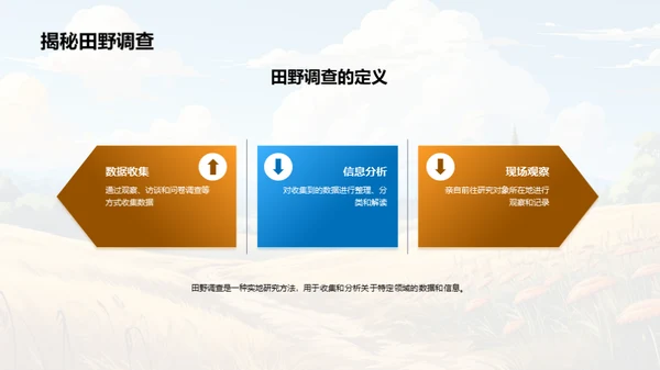 田野调查实践解析