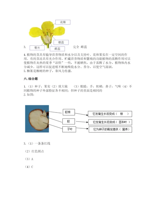 科学四年级下册第一单元植物的生长变化测试卷含答案【能力提升】.docx