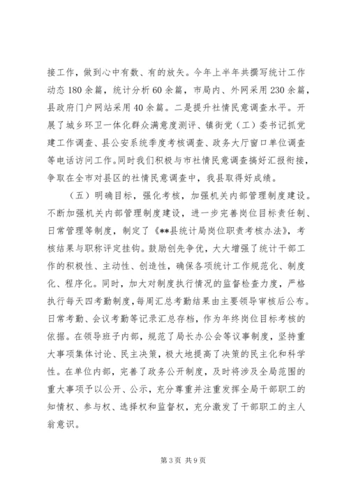 统计局半年工作总结及下半年工作计划精编.docx