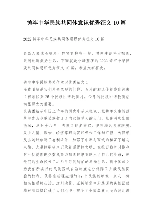 铸牢中华民族共同体意识优秀征文10篇.docx