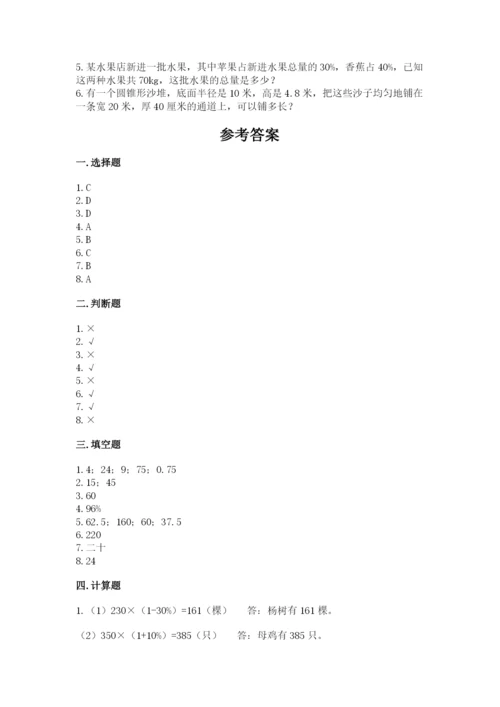 苏教版六年级下册数学期中测试卷精品（夺冠系列）.docx