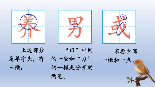 【同步课件】部编版语文三年级上册  25.灰雀（2课时）