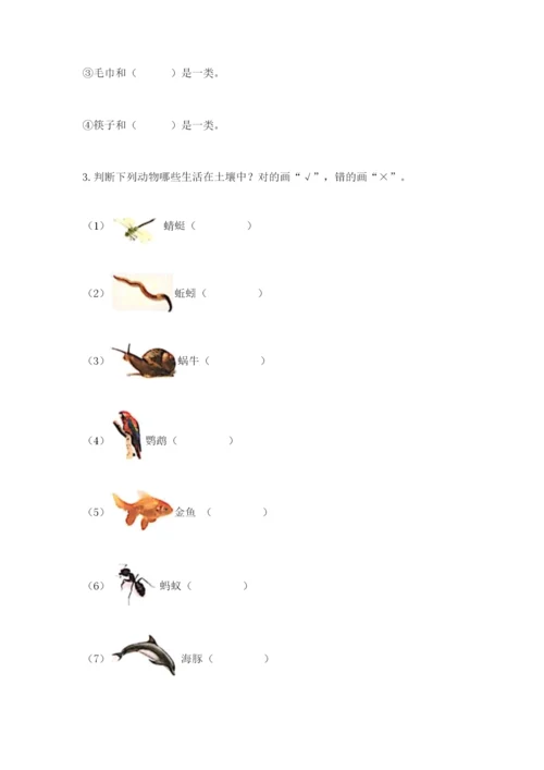 教科版小学二年级上册科学期末测试卷附参考答案【预热题】.docx