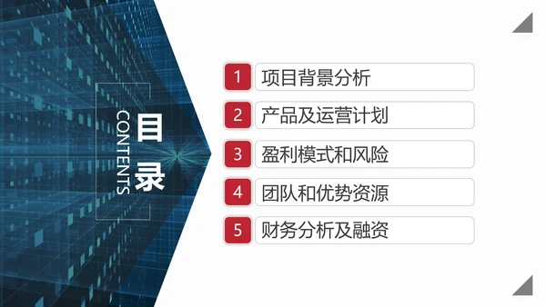商业投资项目计划书PPT多用途模板