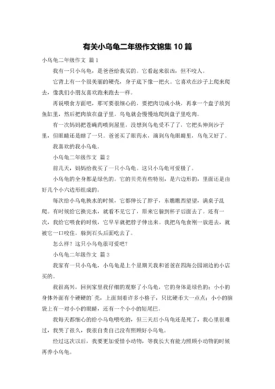 有关小乌龟二年级作文锦集10篇.docx