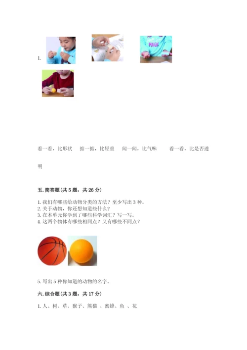 教科版一年级下册科学期末测试卷含完整答案【全优】.docx