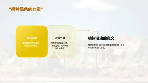 社区植树，你我共参与
