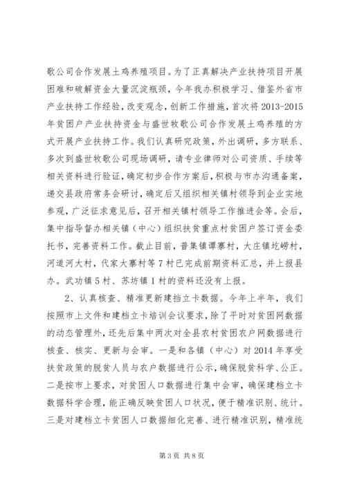 扶贫办上半年工作总结及下半年工作计划.docx